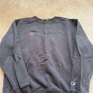 Champion Men's Gray Sweater